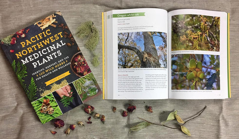 PACIFIC NORTHWEST MEDICINAL PLANTS KLOOS. SCOTT